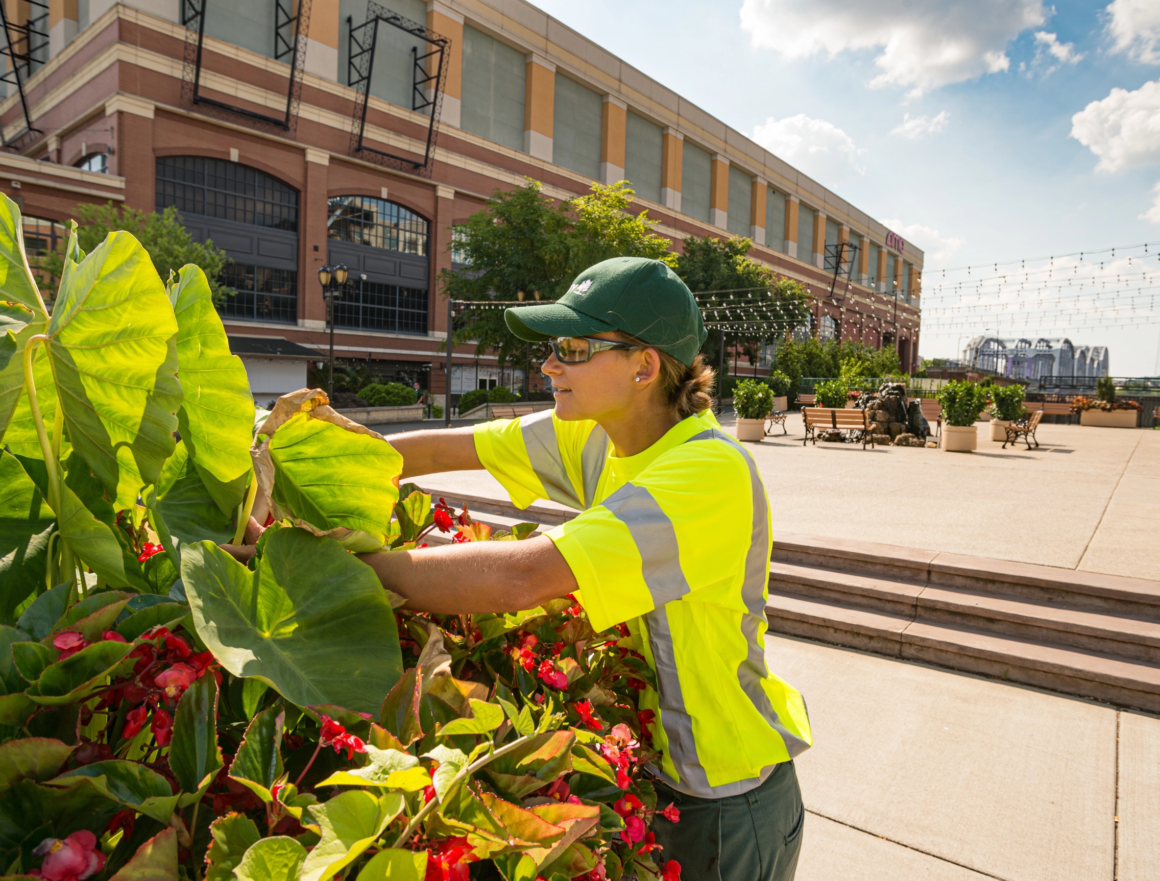 Plant Care